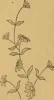 An illustration from Ladies's work for pleasure and profit (1894)