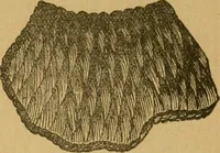 An illustration from Ladies's work for pleasure and profit (1894)