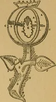 An illustration from Ladies's work for pleasure and profit (1894)