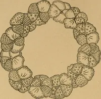 An illustration from Ladies's work for pleasure and profit (1894)