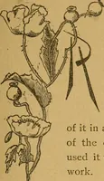 An illustration from Ladies's work for pleasure and profit (1894)