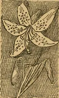 An illustration from Ladies's work for pleasure and profit (1894)