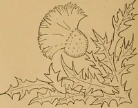 An illustration from Ladies's work for pleasure and profit (1894)