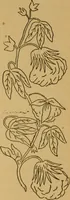 An illustration from Ladies's work for pleasure and profit (1894)