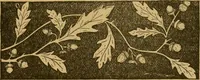 An illustration from Ladies's work for pleasure and profit (1894)