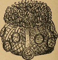 An illustration from Ladies's work for pleasure and profit (1894)