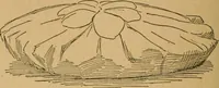 An illustration from Ladies's work for pleasure and profit (1894)