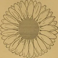 An illustration from Ladies's work for pleasure and profit (1894)