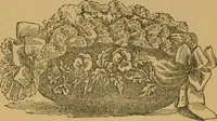 An illustration from Ladies's work for pleasure and profit (1894)