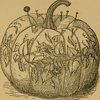 An illustration from Ladies's work for pleasure and profit (1894)