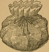 An illustration from Ladies's work for pleasure and profit (1894)