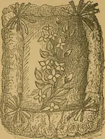 An illustration from Ladies's work for pleasure and profit (1894)