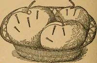 An illustration from Ladies's work for pleasure and profit (1894)