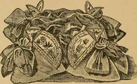 An illustration from Ladies's work for pleasure and profit (1894)