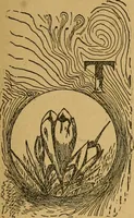 An illustration from Ladies's work for pleasure and profit (1894)