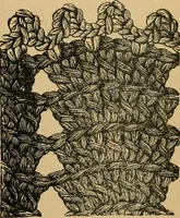 An illustration from Ladies's work for pleasure and profit (1894)