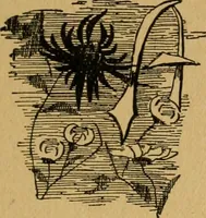 An illustration from Ladies's work for pleasure and profit (1894)