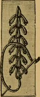 An illustration from Ladies's work for pleasure and profit (1894)