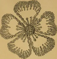 An illustration from Ladies's work for pleasure and profit (1894)