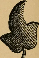 An illustration from Ladies's work for pleasure and profit (1894)