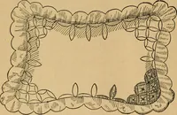 An illustration from Ladies's work for pleasure and profit (1894)