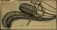 An illustration from Ladies's work for pleasure and profit (1894)
