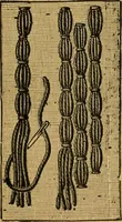 An illustration from Ladies's work for pleasure and profit (1894)