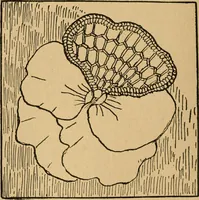 An illustration from Ladies's work for pleasure and profit (1894)