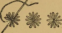 An illustration from Ladies's work for pleasure and profit (1894)