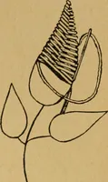 An illustration from Ladies's work for pleasure and profit (1894)