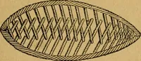 An illustration from Ladies's work for pleasure and profit (1894)