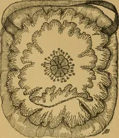 An illustration from Ladies's work for pleasure and profit (1894)