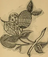 An illustration from Ladies's work for pleasure and profit (1894)