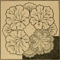 An illustration from Ladies's work for pleasure and profit (1894)