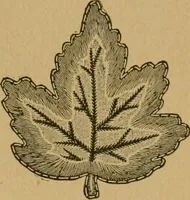 An illustration from Ladies's work for pleasure and profit (1894)