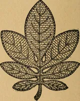 An illustration from Ladies's work for pleasure and profit (1894)