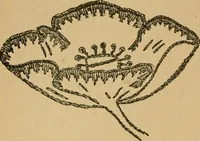 An illustration from Ladies's work for pleasure and profit (1894)