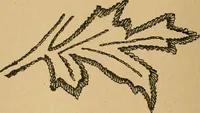 An illustration from Ladies's work for pleasure and profit (1894)