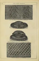 Picture 4 of 7 from The Ladies' treasury (1857), leaf 518