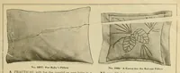 An illustration from The Ladies' world embroidery book (1915)