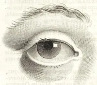 An illustration from La dioptriqve ocvlaire, ov, La theoriqve, la positive, et la mechaniqve, de l'ocvlaire dioptriqve en tovtes ses especes (1671)