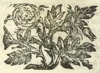 An illustration from La discordia confvsa : rappresentata con macchine, e musica, e combattuta in Ferrara nel Passaggio, della serma. Anna de Medici, nata principessa di Toscana, arcidvchessa d'Isprvch (1646)