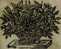 An illustration from La doctrine des moeurs : qui represente en cent tableaux la différence des passions, et enseigne la manière de parvenir à la sagesse universelle (1688)