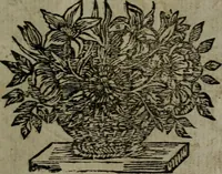 An illustration from La doctrine des moeurs : qui represente en cent tableaux la différence des passions, et enseigne la manière de parvenir à la sagesse universelle (1688)