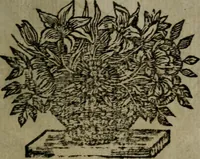 An illustration from La doctrine des moeurs : qui represente en cent tableaux la différence des passions, et enseigne la manière de parvenir à la sagesse universelle (1688)