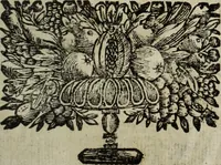 Picture 110 of 257 from La doctrine des murs (1685), leaf 180