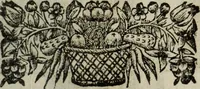 An illustration from La doctrine des murs (1685)