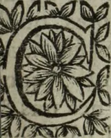 An illustration from La doctrine des murs (1685)