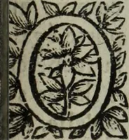An illustration from La doctrine des murs (1685)