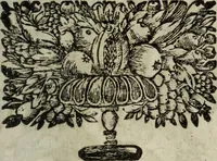 Picture 164 of 257 from La doctrine des murs (1685), leaf 278